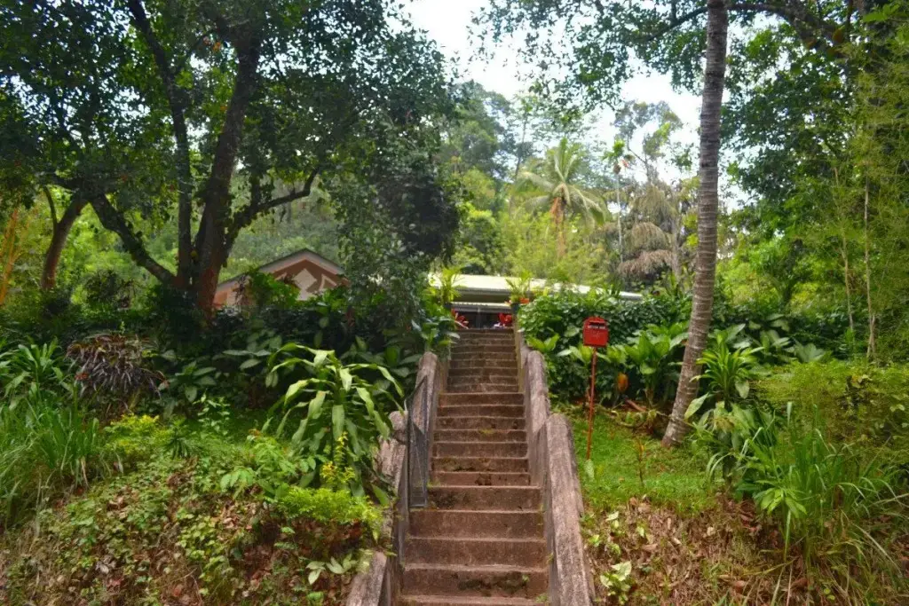 Канди: Ivy Banks Anniewatte Guest House