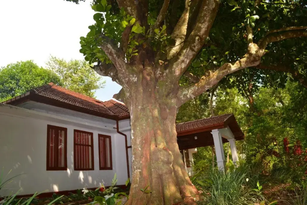 Канди: Ivy Banks Anniewatte Guest House