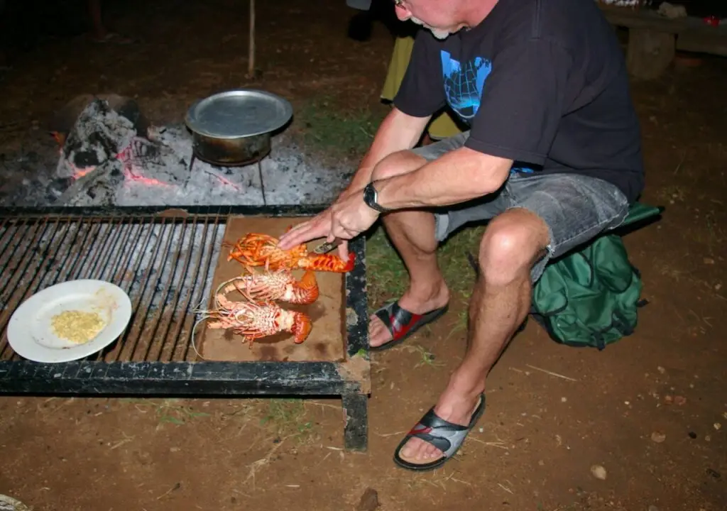Виравила: Botakandaya Lodge