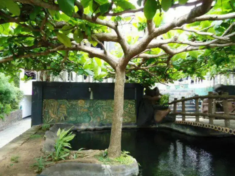 Анурадхапура: Boa Vista Guest House