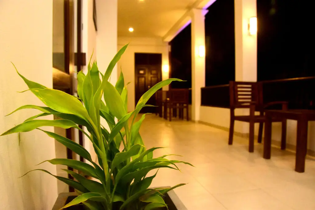 Ваддува: Blue Spring Hotel