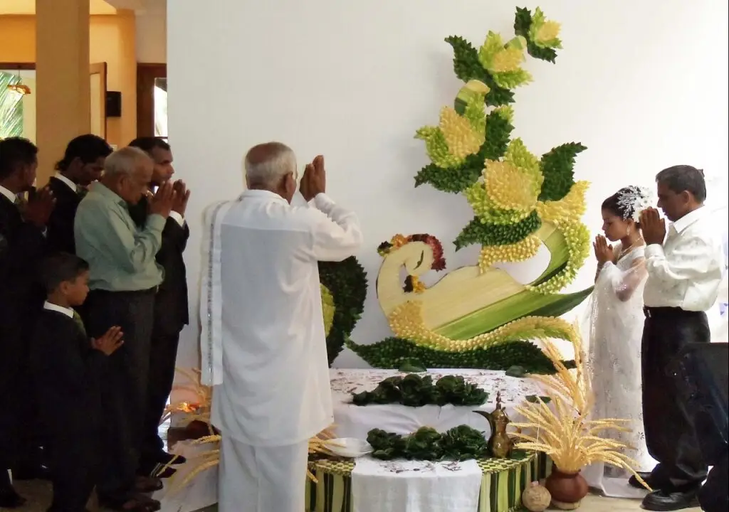 Ваддува: Heritage Garden - Wadduwa Hotel