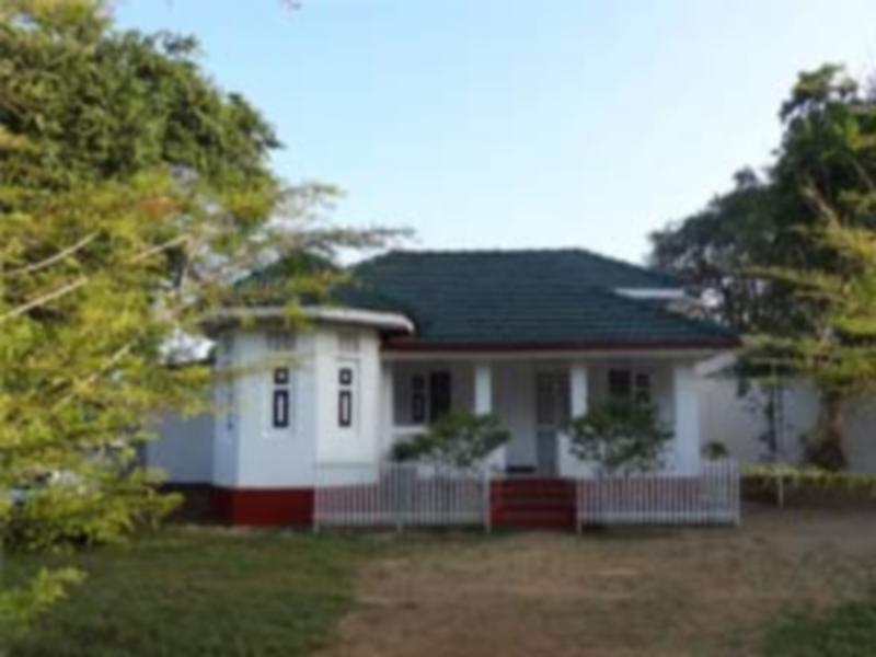 Миннерия: Safari Mansion