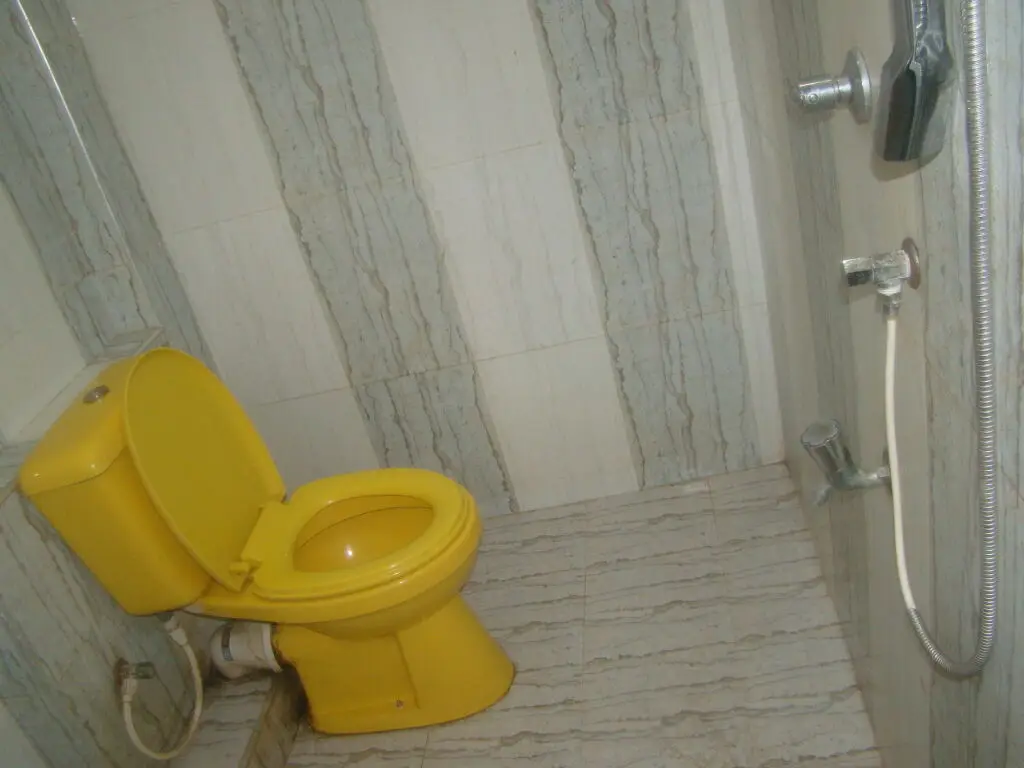 Анурадхапура: Down Town Hotel