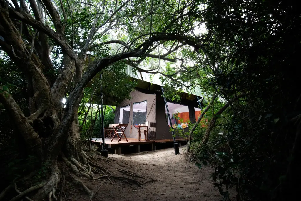 Палатупана: Кемпинг Wild Trails Yala Eco Camp by Yoho