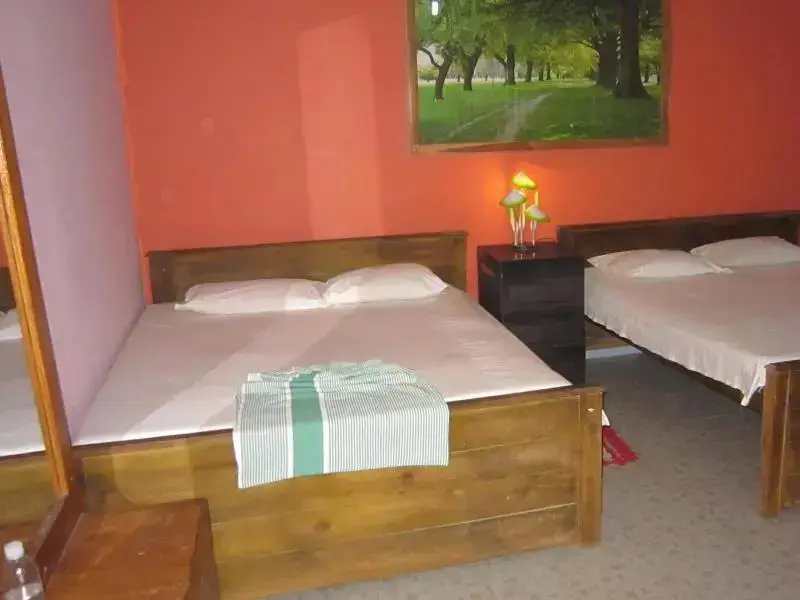 Анурадхапура: New Green Hut Inn
