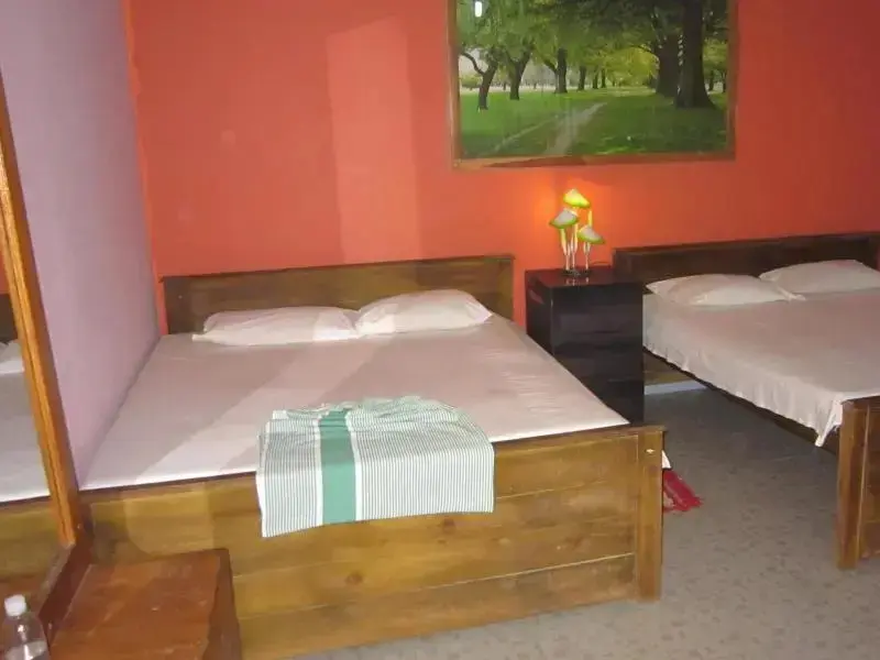Анурадхапура: New Green Hut Inn