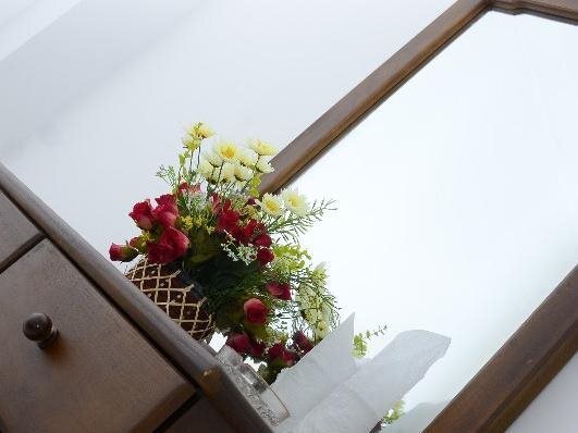 Катунаяке: Meshendra Garden Hotel