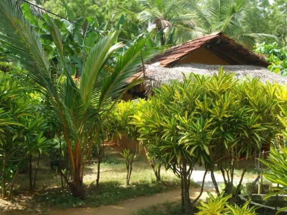 Тангалла: Natural Cabanas