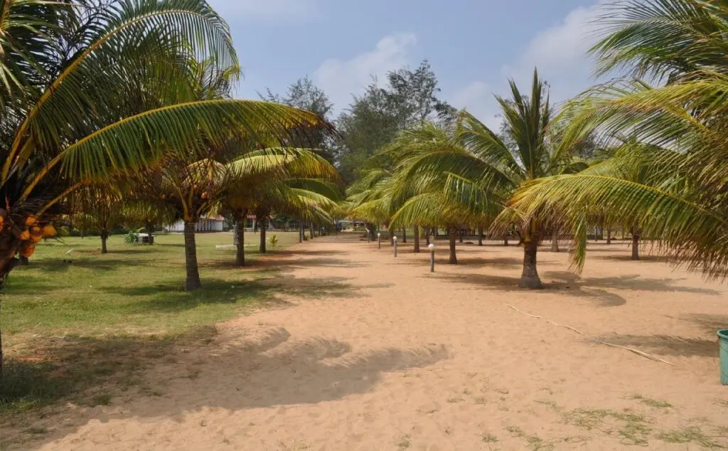 Нилавели: Palm Beach Nilaveli Hotel