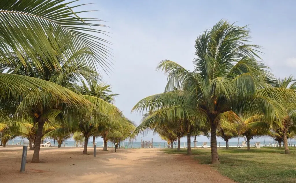 Нилавели: Palm Beach Nilaveli Hotel