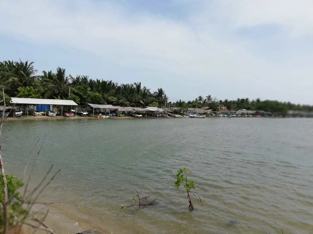Кандакули: dolphin wadiya