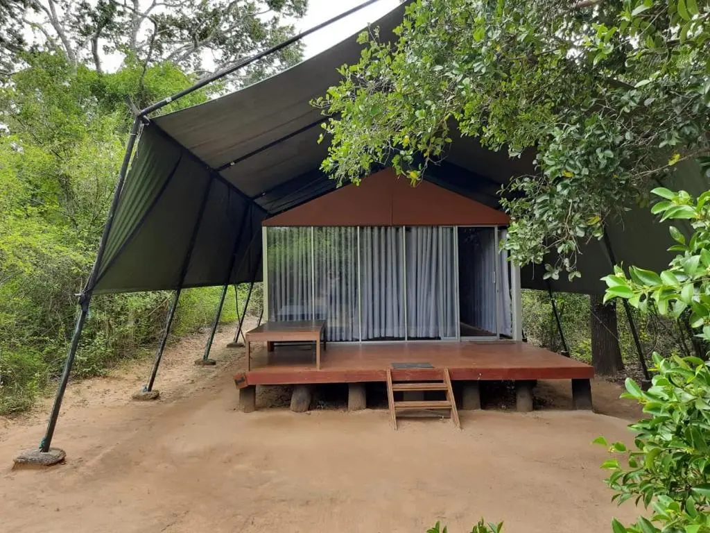 Киринда: Yala Leopard Mobile Camp