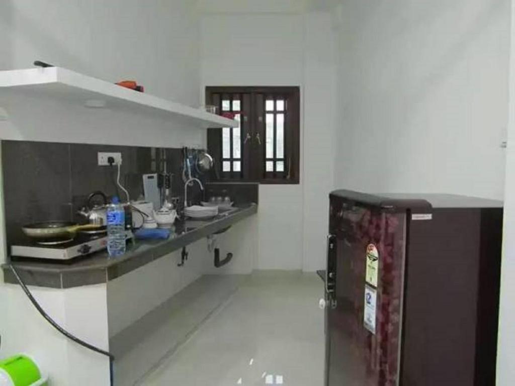 Хиккадува: New sea lion guest house