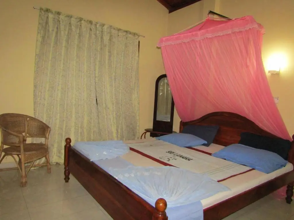 Хиккадува: New sea lion guest house