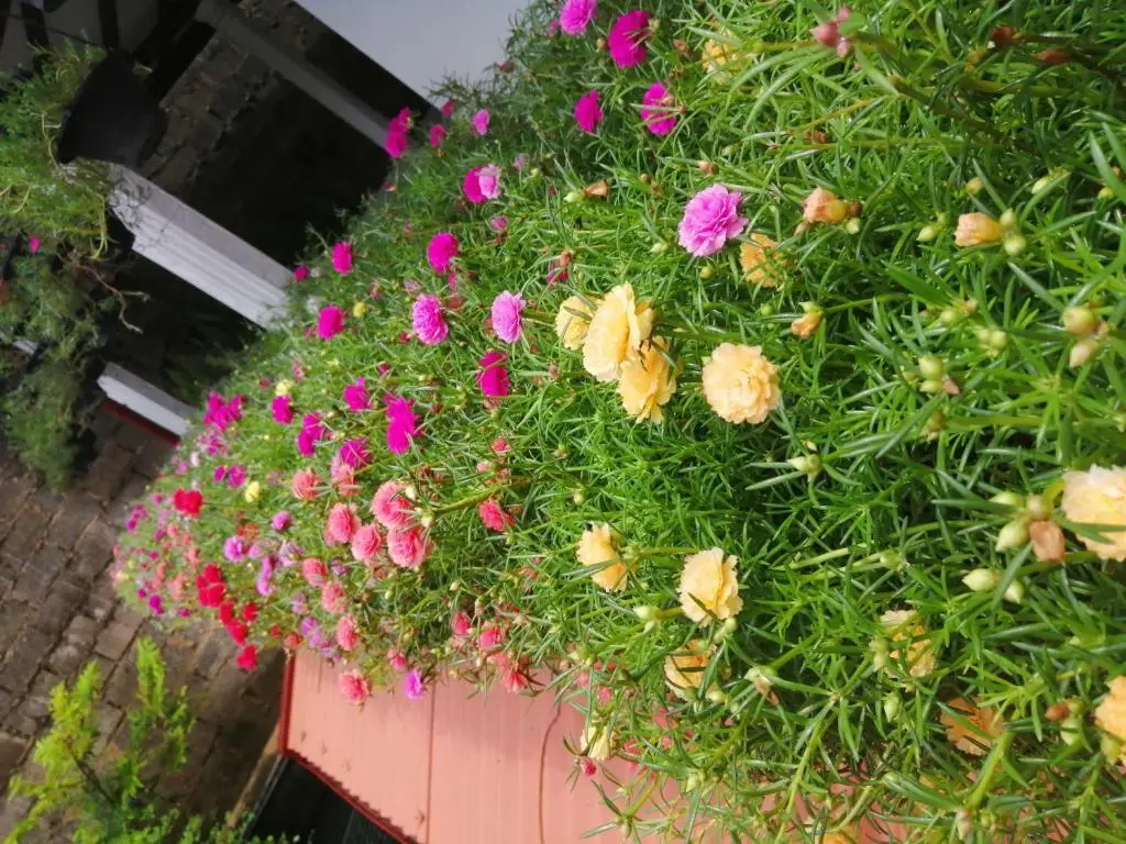 Таларамба: Kanthi Holiday Rest Homestay