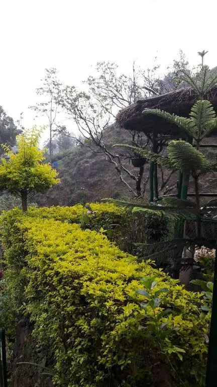 Наллатанния: Green House