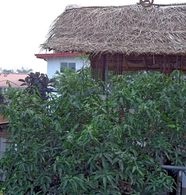 Анурадхапура: Rajarata Reach Resort