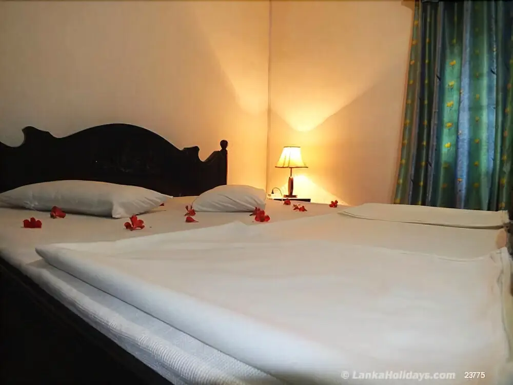 Нувара-Элия: Hotel Green Forest