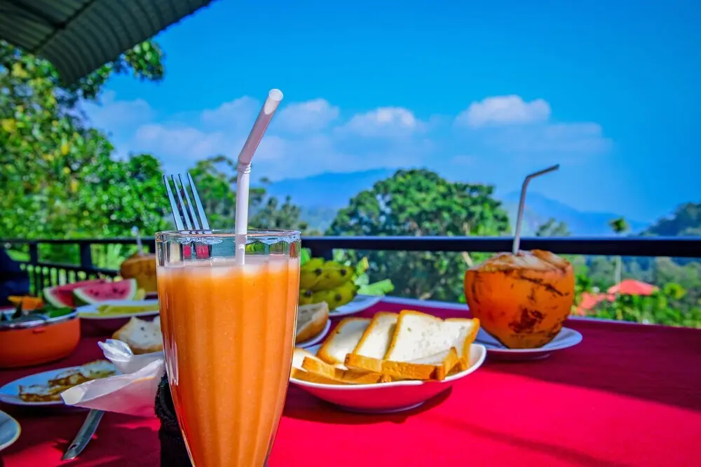 Элла: Dimuthu Homestay Ella