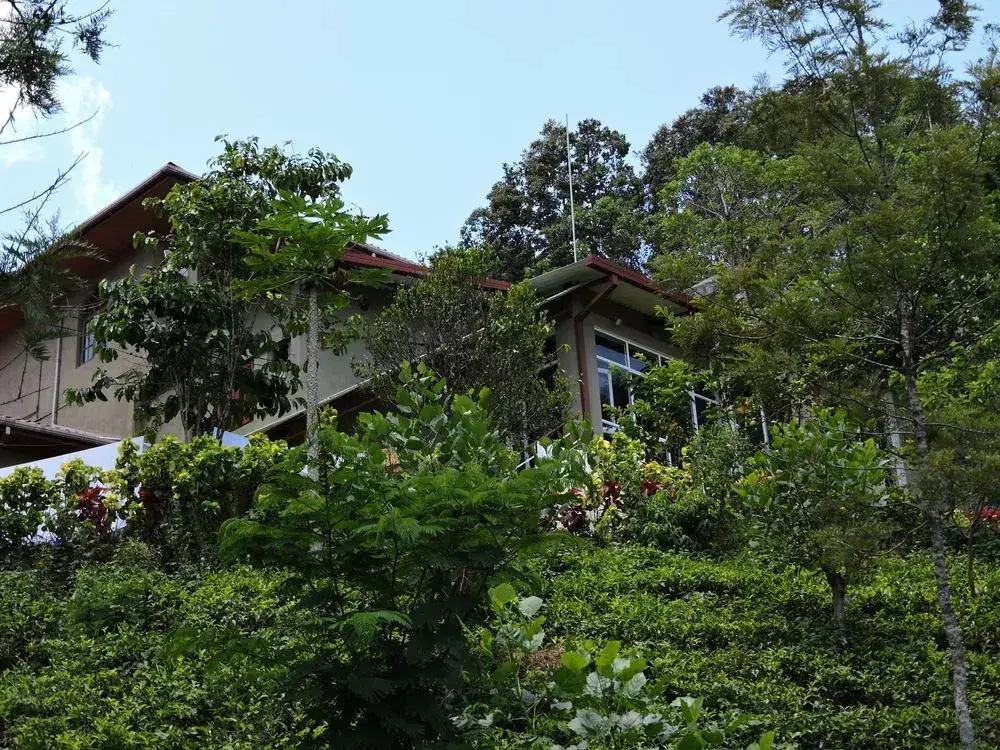 Guest at Bandarawela — фото 1