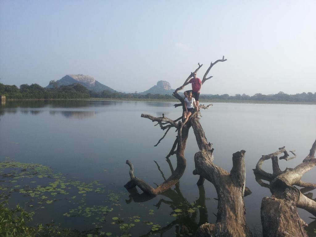Сигирия: Sigiriya Lahiru Homestay