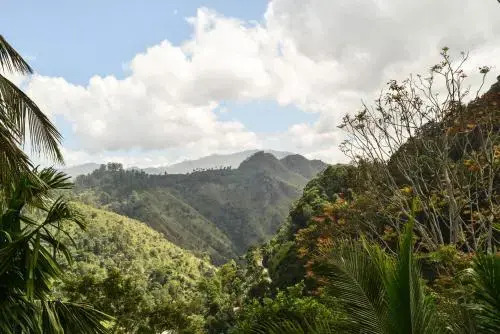 Элла: Morning Light