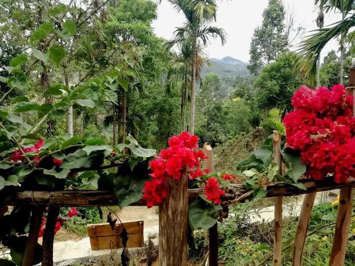 Элла: Pearl View Guesthouse