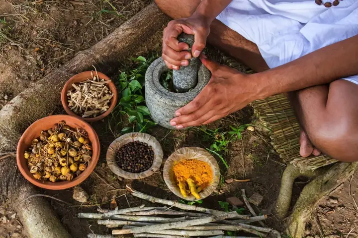 Сигирия: Mahagedara Wellness Retreat