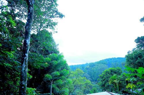 Элла: Secret Nest Homestay