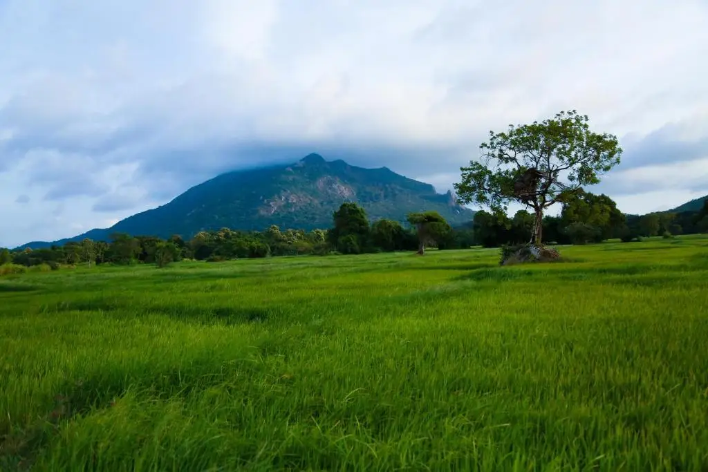 Анурадхапура: Athreya Ayurveda Ashram