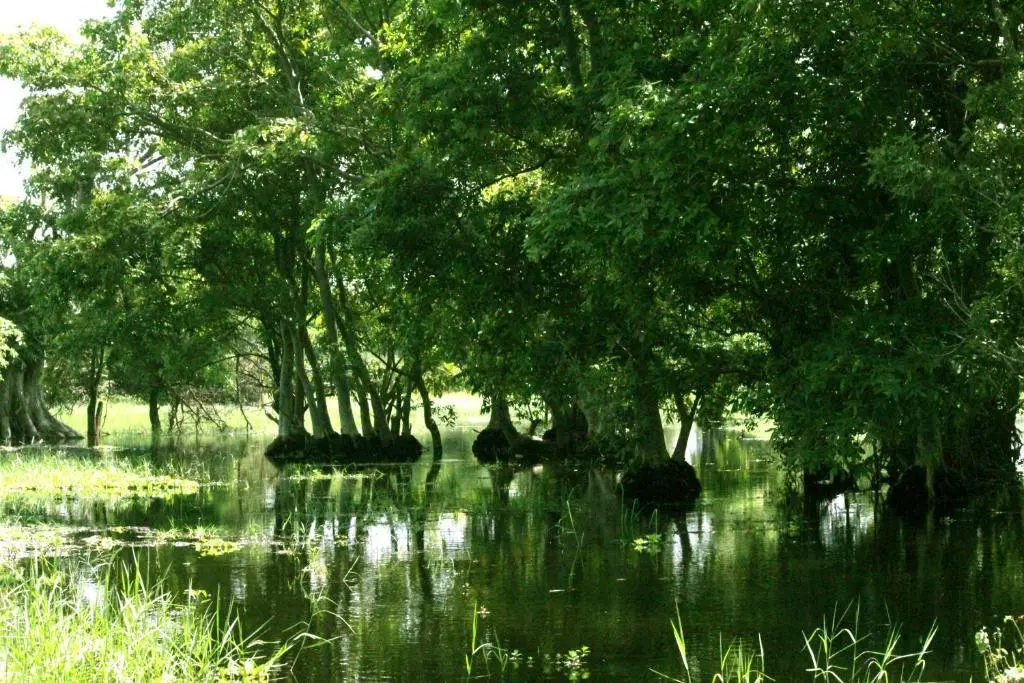Анурадхапура: Athreya Ayurveda Ashram