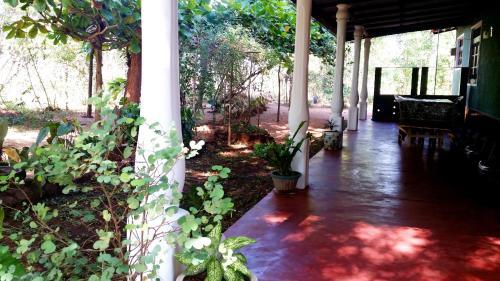 Сигирия: Nethmi Homestay