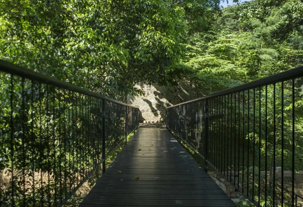 carousel image 2