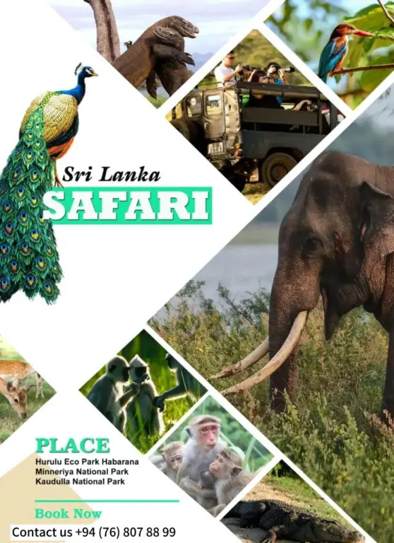 Сигирия: The Rock View Homestay Sigiriya