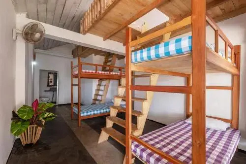Оваканда: Coco Palm Beach Hostel