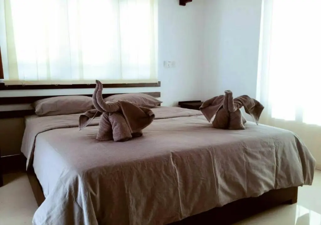 Негомбо: So What Boutique Hotel