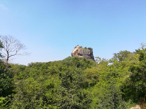 Сигирия: Oshani Homestay Sigiriya