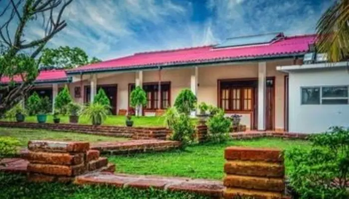 Guest at Polonnaruwa — фото 1