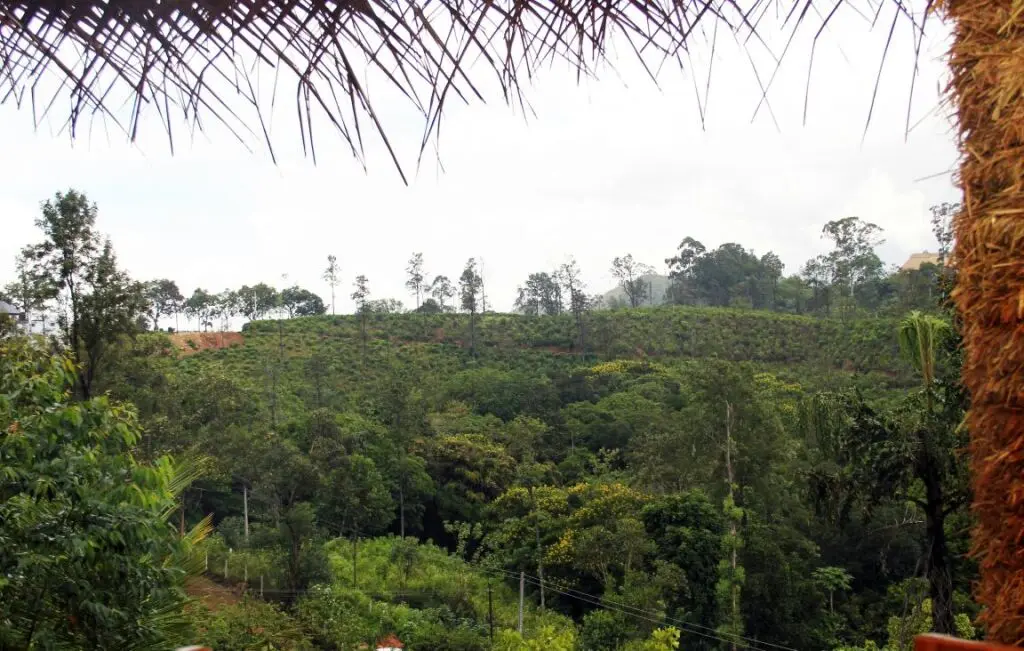 Элла: Мини-Отель Ella Sisila View
