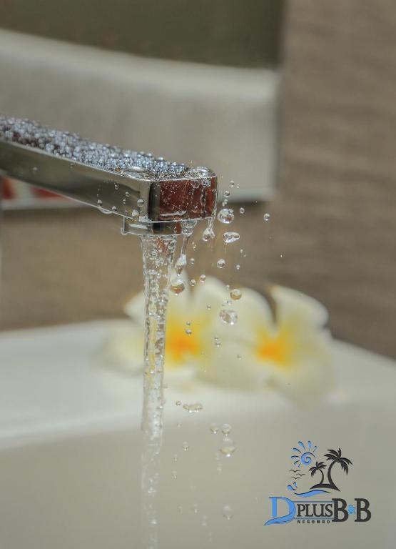Негомбо: D Plus B&B Negombo