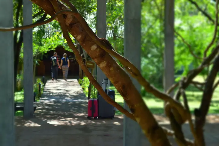 Сигирия: Отель Sigiri Asna Nature Resort