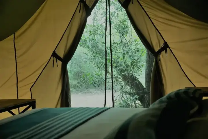 Анурадхапура: Base Camp Wilpattu