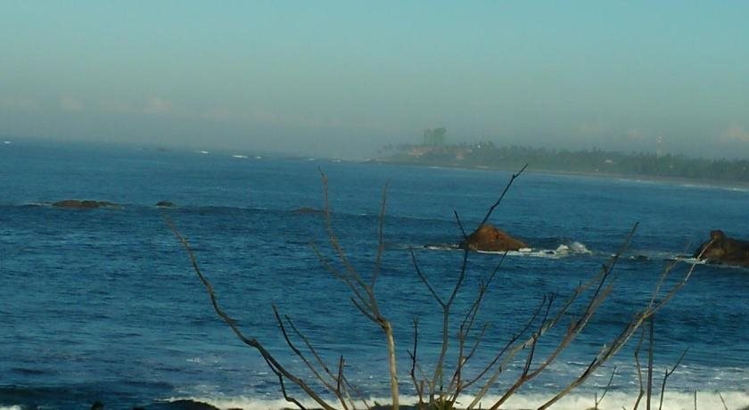 Галле: Galle Cemellia