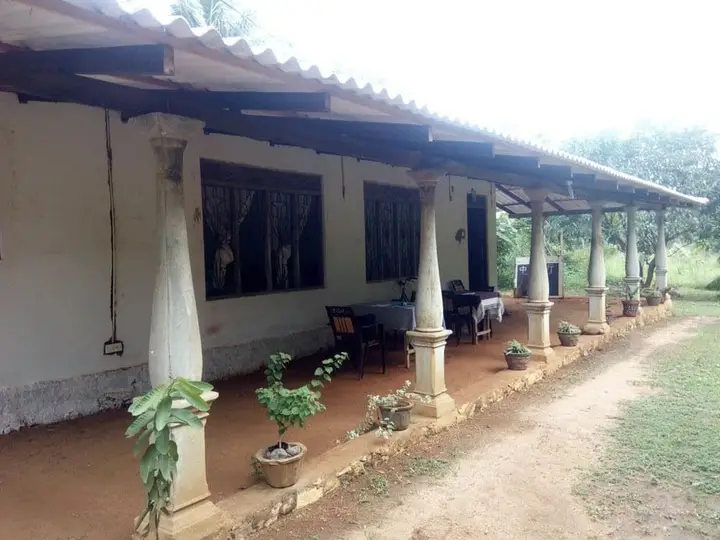 Сигирия: Yoho Mango Tree Home Stay & Hostel