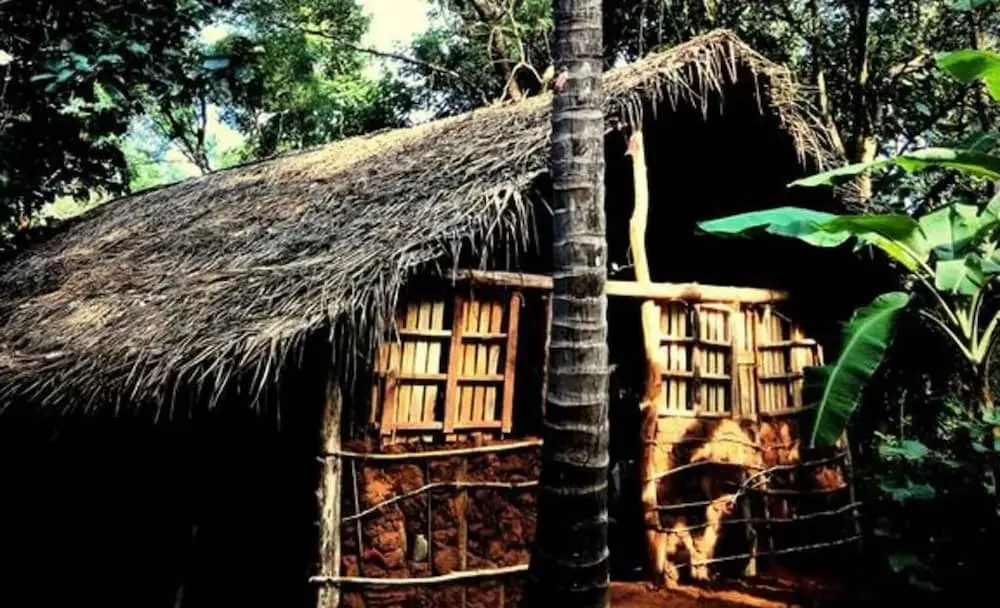 Сигирия: Yoho Mango Tree Home Stay & Hostel
