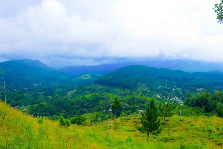 Элла: Yoho Hill Forest Cottage