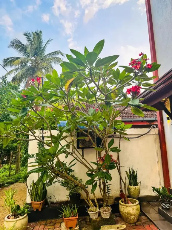 Галле: Vista BnB Galle