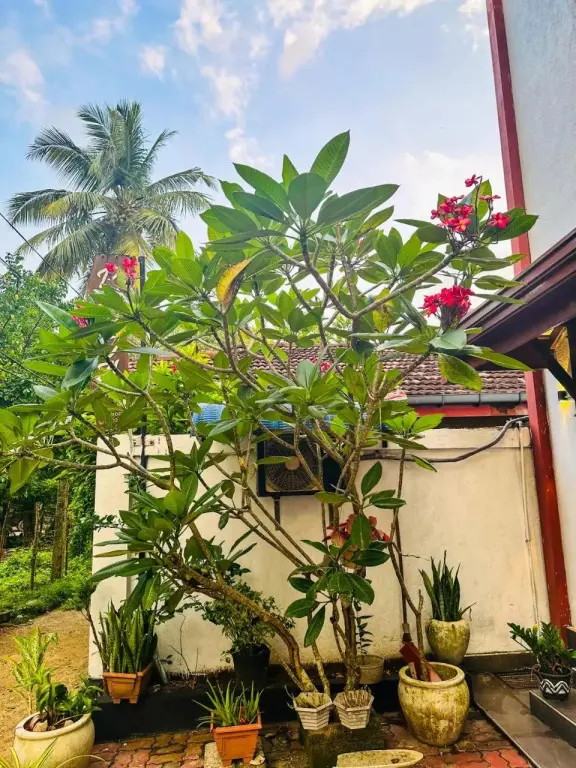 Галле: Vista BnB Galle