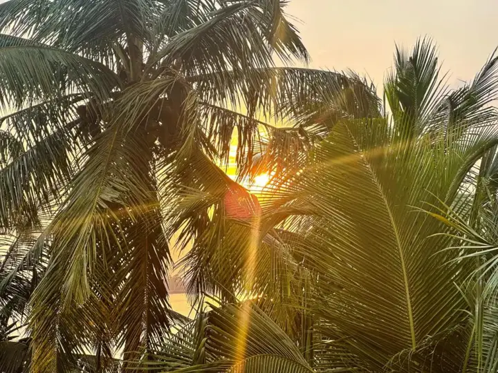 Галле: Vista BnB Galle